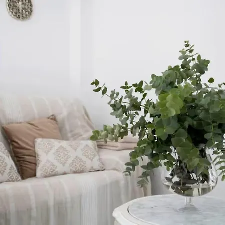 アパート Cataleya Con Terraza Privada *